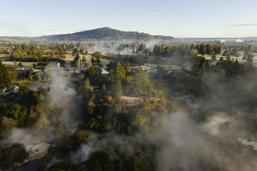 Te Puia: Te Rā Guided Day Tour - Should you book Te Puia: Te Rā?