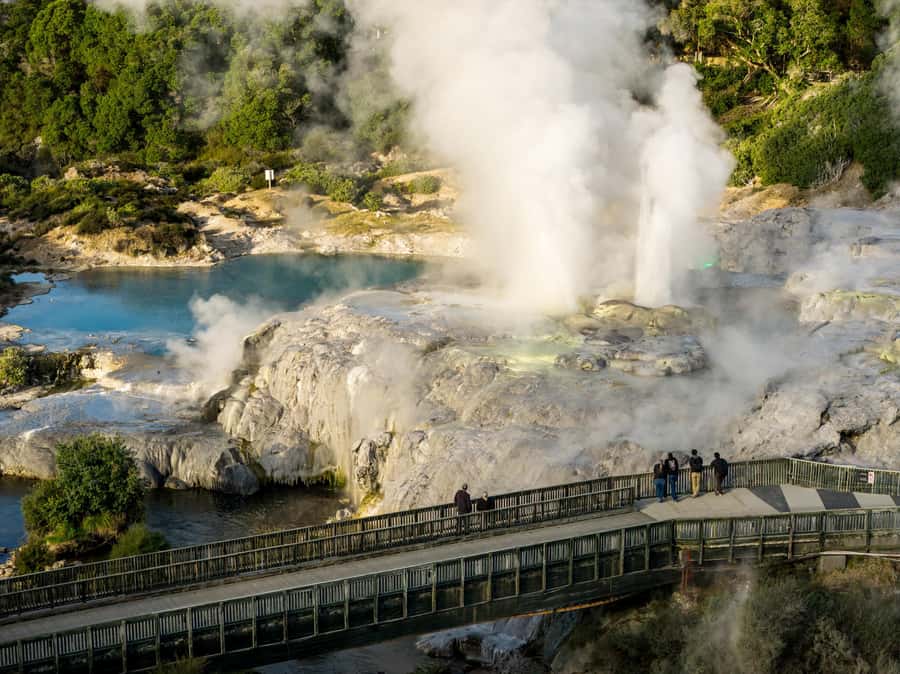 Te Puia: Te Rā Guided Day Tour - Pōhutu Geyser gives Rotorua its wow moment