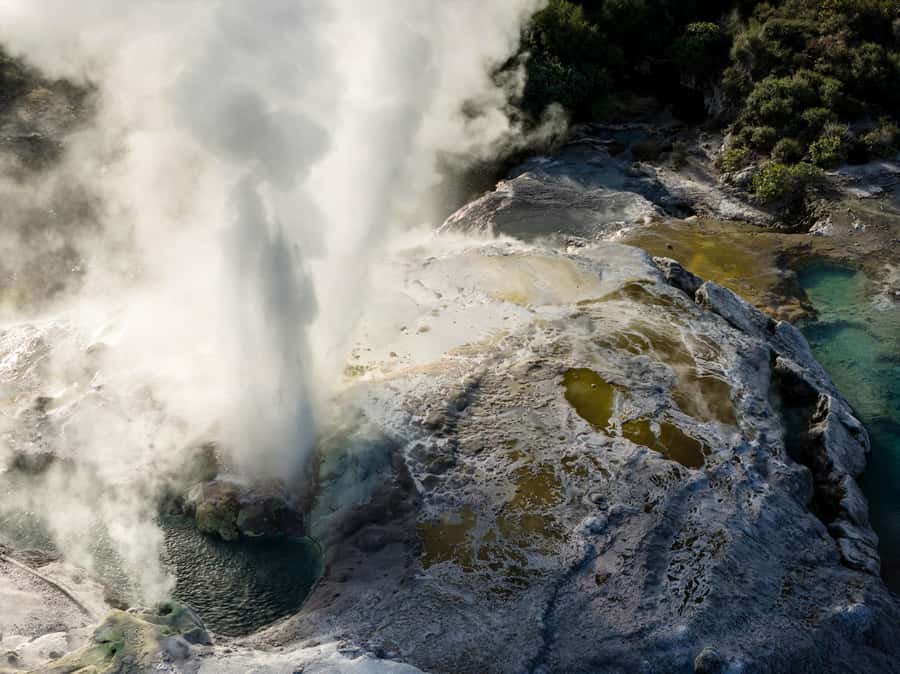 Te Puia: Te Rā Guided Day Tour - How the 90-minute schedule works