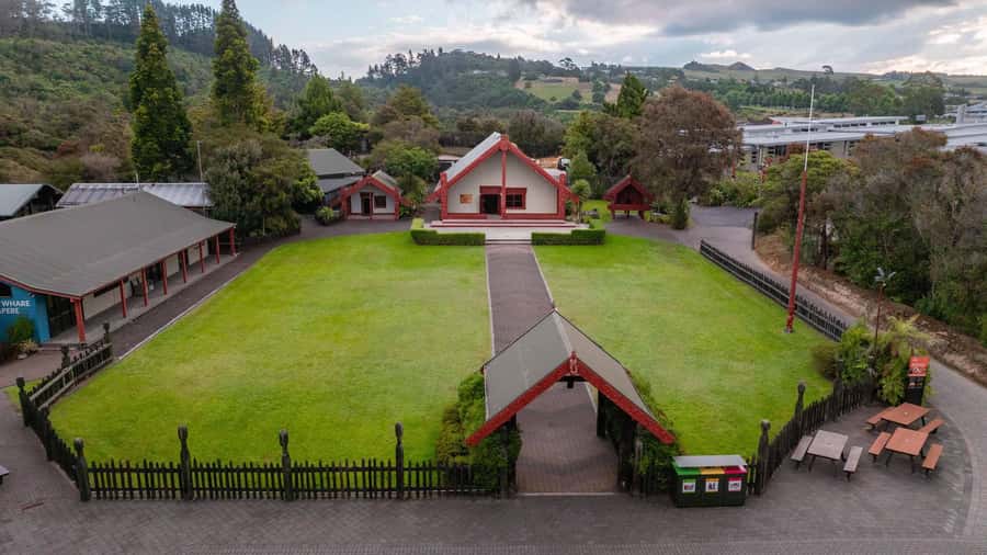 Te Puia: Te Rā Guided Day Tour and Haka Performance - The Kiwi Conservation Centre