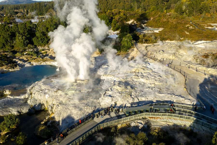 Te Puia: Te Rā Guided Day Tour and Haka Performance - Is $79 good value?