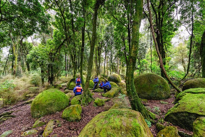 The Boulders Scenic Half Day Float on the Rangitikei River - A gentle start from Awastone at 10:00 a.m.