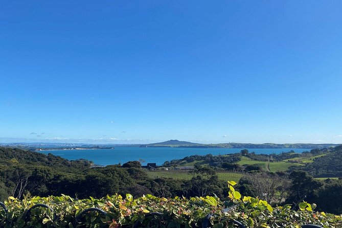 The Essence of Waiheke Wine Tour - Scenic drives, beaches, and island context