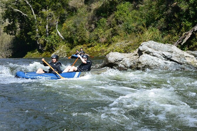 The Hobbit Barrel Run Rafting Tour on the Pelorus River - Paddling the river with a guide
