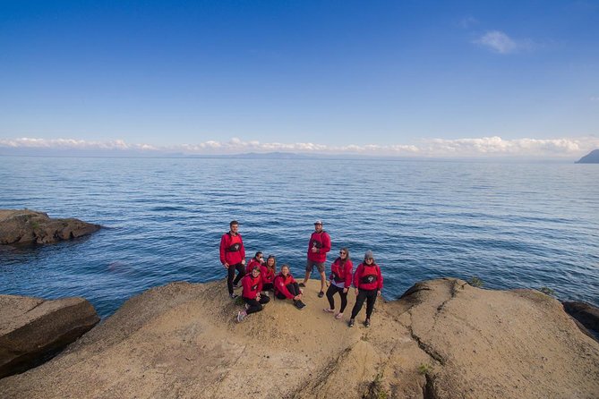 The Maori Carvings Half Day Kayak - Why paddle to the Māori rock carvings?