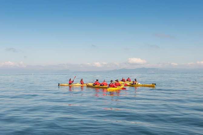 The Maori Carvings Half Day Kayak - Starting at 54 Spa Road in Taupō
