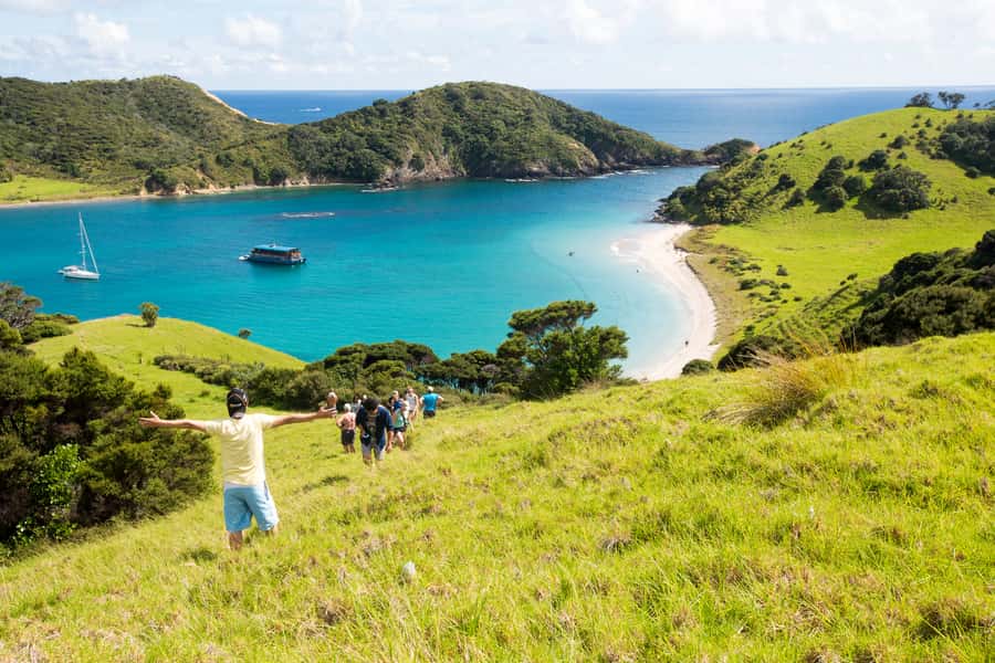 The Rock Adventure Day Cruise - Snorkelling for fish, stingrays, and seafood