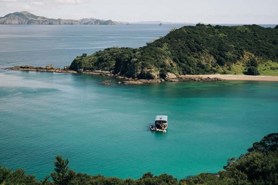 The Rock Adventure Day Cruise - The ride home: mussels, fishing, and wildlife