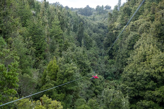 The Ultimate Canopy Zipline Experience Private Tour From Auckland - Coffee, the Bombay Hills, and the Road South