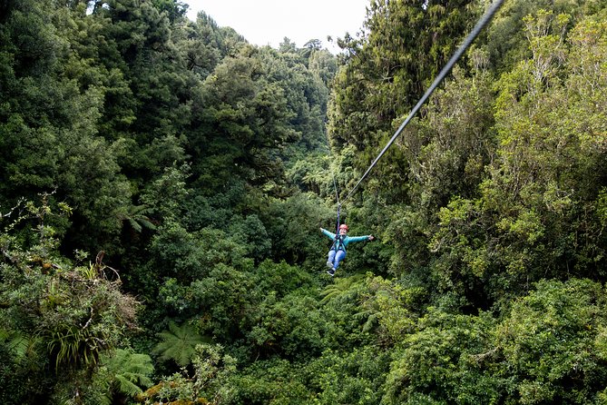 The Ultimate Canopy Zipline Experience Private Tour From Auckland - What the Private Tour Adds