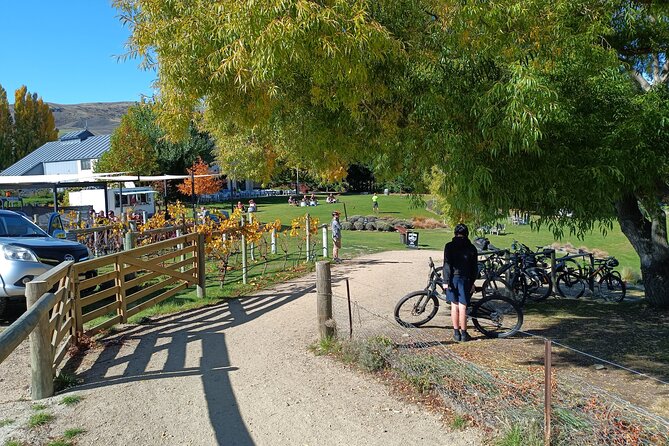 The Ultimate Lake Dunstan Bike Hire And Boat Experience - Why the boat return changes the whole ride
