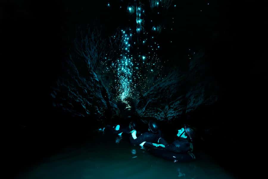 The Waitomo Experience : Okohua Glowworm Cave Tour - Key points to know before booking