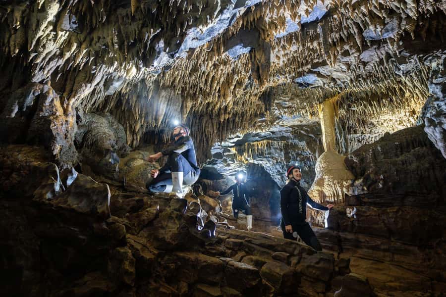 The Waitomo Experience : Okohua Glowworm Cave Tour - Getting fitted out and walking across the farm