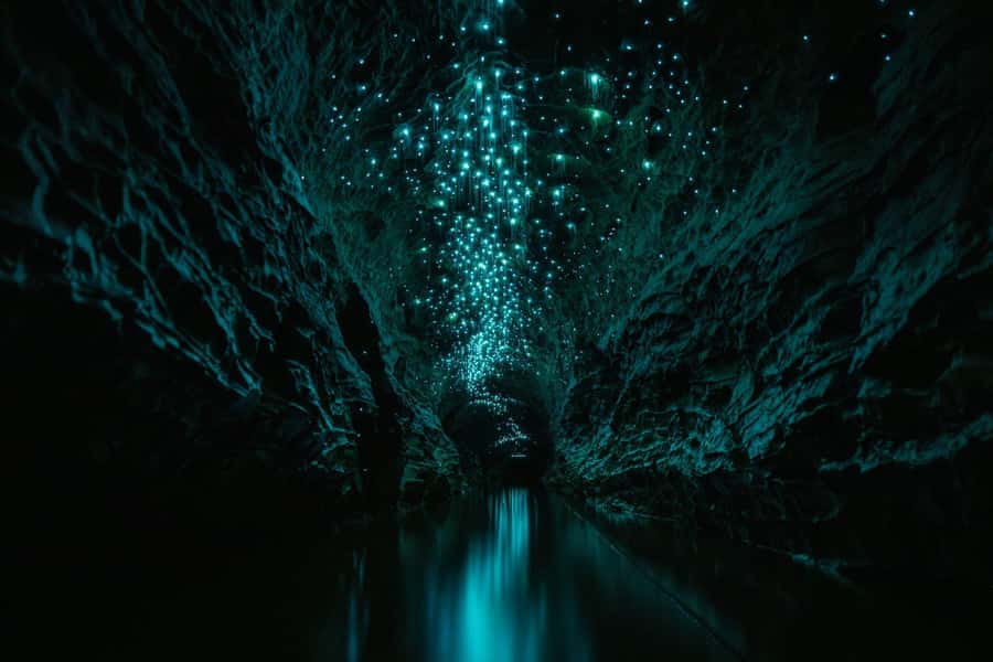 The Waitomo Experience : Okohua Glowworm Cave Tour - Inside Okohua Cave, expect movement from start to finish
