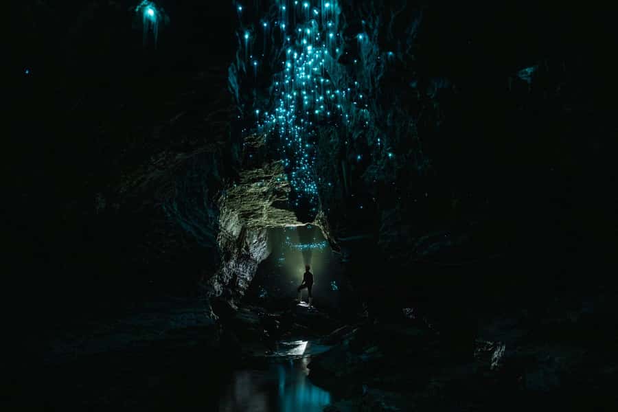 The Waitomo Experience : Okohua Glowworm Cave Tour - Is $136 a fair price?