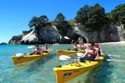 Timber Trail – Ongarue to Pureora Shuttle 2 Day Ride