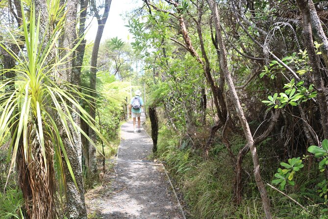 Tiritiri Matangi Island Discovery - from Auckland - Key points to know before you book
