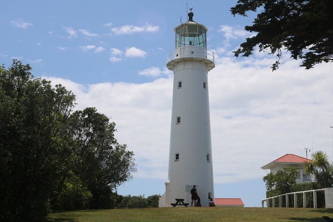 Tiritiri Matangi Island Discovery - from Auckland - Walking tracks, cliff tops, and native bush