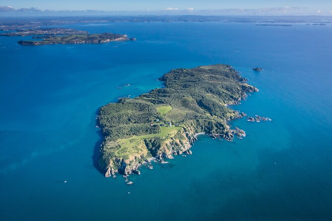 Tiritiri Matangi Island Discovery - from Auckland - Arriving at the wharf and choosing your route