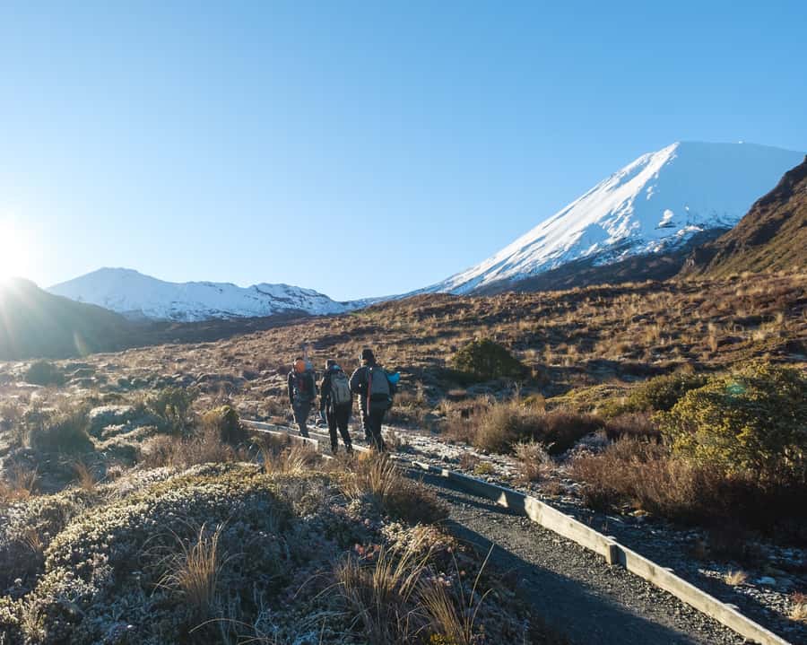 Tongariro Alpine Crossing: Premium Guided Hike - From Carroll Street to the trailhead