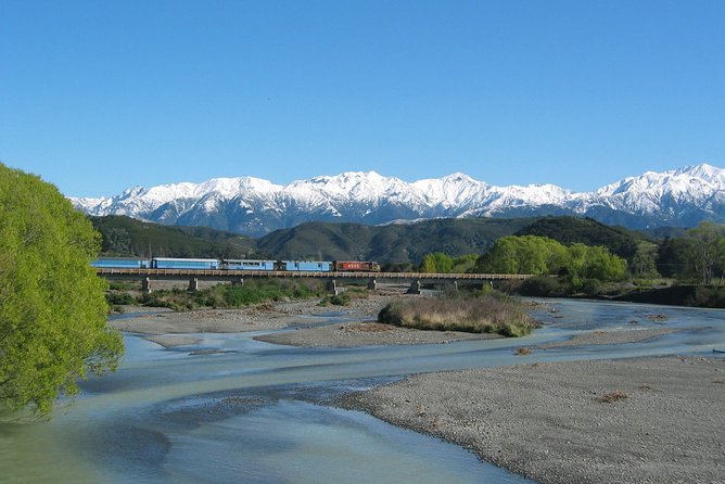 Tranz Alpine Train Tour - Why this Christchurch day trip works so well