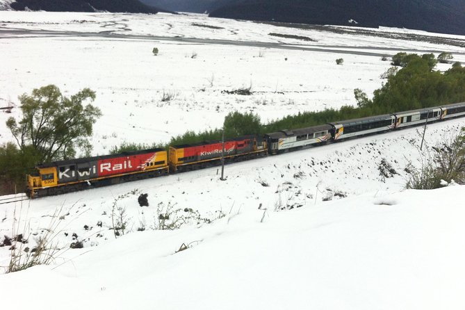 Tranz Alpine Train Tour - From Christchurch to Springfield by road