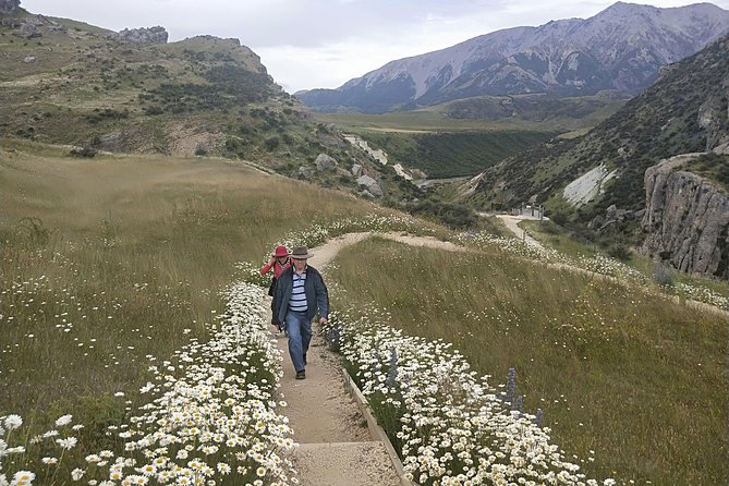 Tranz Alpine Train Tour - Returning to Christchurch by car
