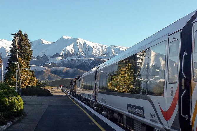 TranzAlpine Train Journey: Christchurch to Greymouth - Seats, viewing cars, and the onboard café