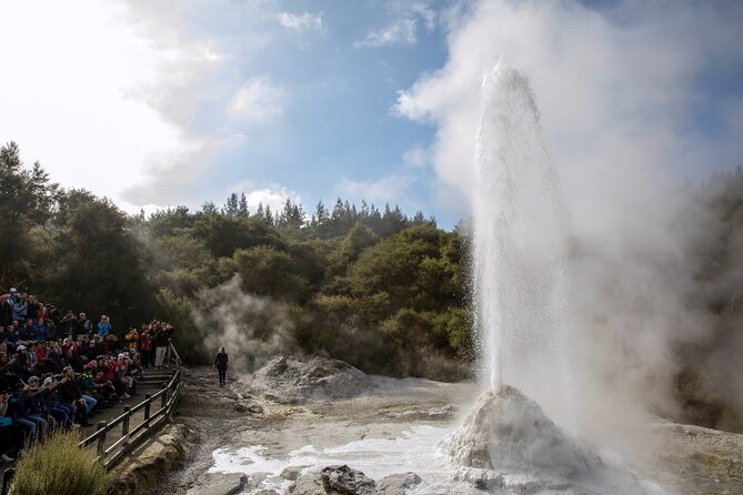 TRIPLE DEAL Wai-O-Tapu, Redwood Forest & Blue Springs Ex Auckland - The clear water of Blue Spring at Putāruru