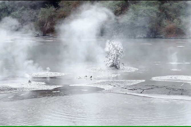 TRIPLE DEAL Wai-O-Tapu, Redwood Forest & Blue Springs Ex Auckland - What the $204.17 price really buys you