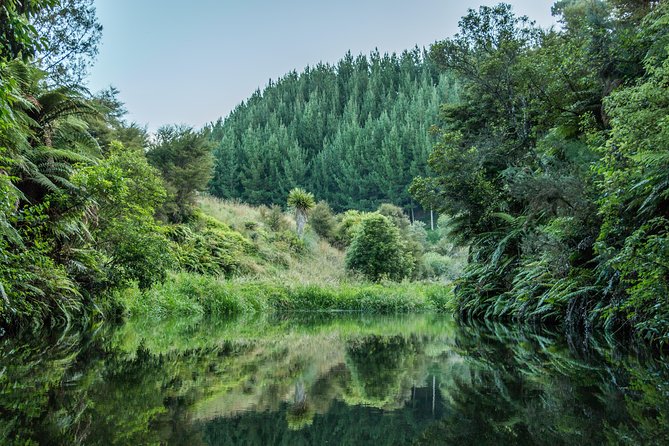 Twilight Glowworm Kayak Tour – Lake Karapiro - Key points at a glance