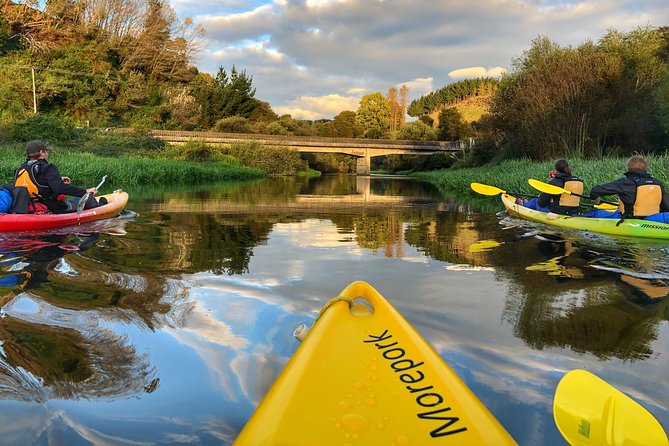 Twilight Glowworm Kayak Tour – Lake Karapiro - From 362 Horahora Road to Lake Karapiro