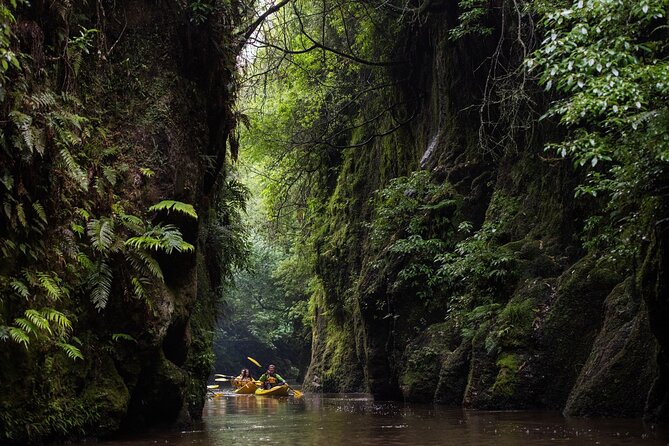Twilight Glowworm Kayak Tour – Lake Karapiro - Learning the basics before the river narrows