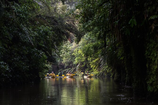 Twilight Glowworm Kayak Tour – Lake Karapiro - Lake Karapiro in the last daylight