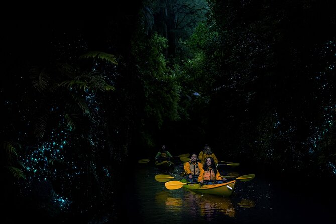 Twilight Glowworm Kayak Tour – Lake Karapiro - The dark paddle beneath the glowing walls