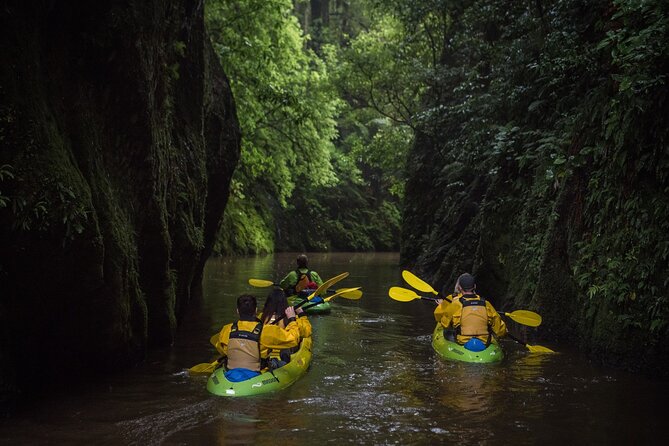 Twilight Glowworm Kayak Tour – Lake Karapiro - Guides who shape the evening