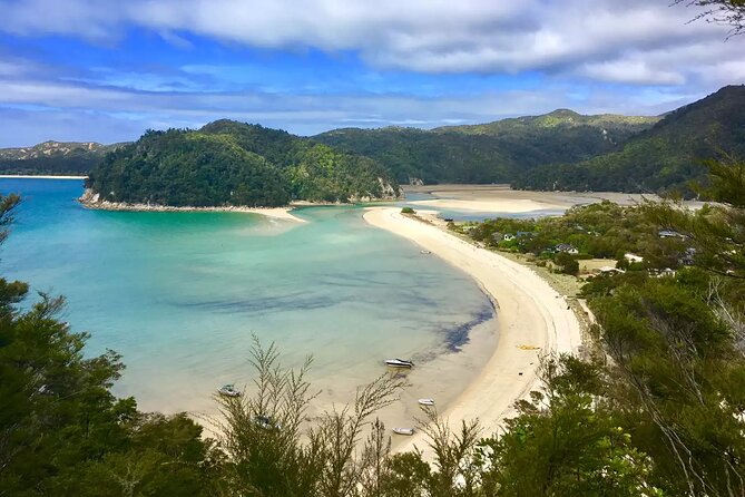Twilight Wild Kiwi Bird Encounter Private Tour - Searching Tāwharanui after dark