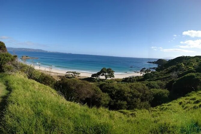 Twilight Wild Kiwi Bird Encounter Private Tour - Comfort, inclusions, and the real value