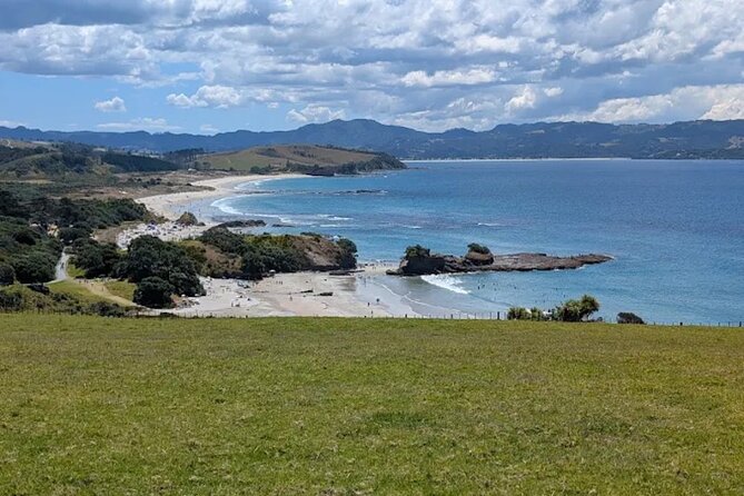 Twilight Wild Kiwi Bird Encounter Private Tour - Who will enjoy this most