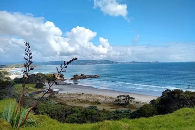 Twilight Wild Kiwi Bird Encounter Private Tour - Planning around weather and cancellations