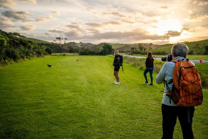 Twilight Wild Kiwi Bird Encounter Private Tour - Dinner beside the Matakana River
