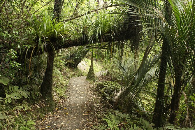 Ultimate Auckland Experience Full Day Tour with Brewery Lunch - Why this Auckland day tour works