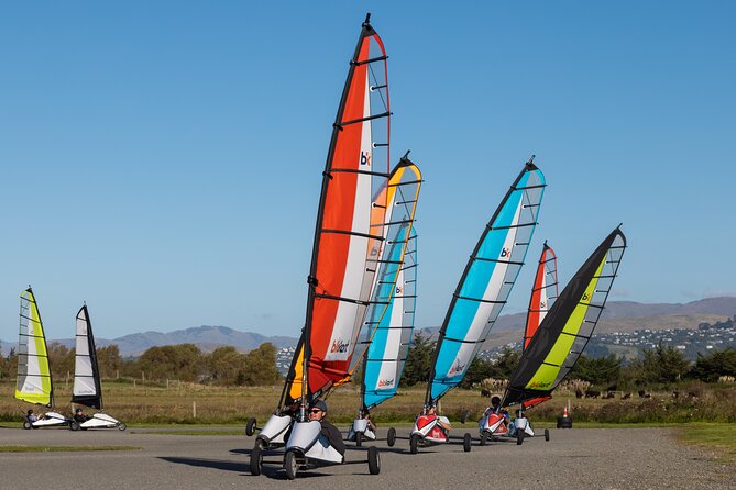 Uniquely Kiwi Landsailing Adventure - Accessibility and age range