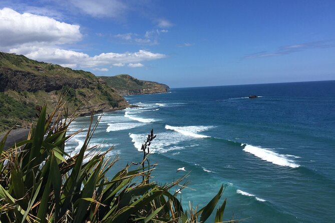 Vineyards Honey and Black Sand Beaches from Auckland - Kumeu River: a serious first look at New Zealand wine