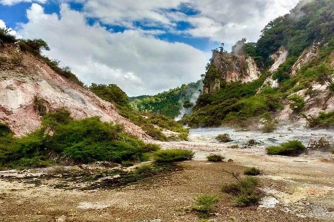 Volcanic Rotorua Day Trip from Auckland - Lunch near Waiotapu is practical, not part of the fare