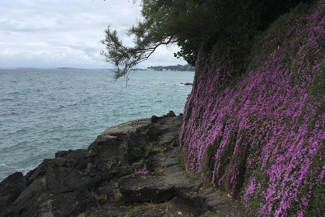 Volcanoes, Coasts, and Secret Spots Afternoon Tour in Auckland - Devonport village and its old houses