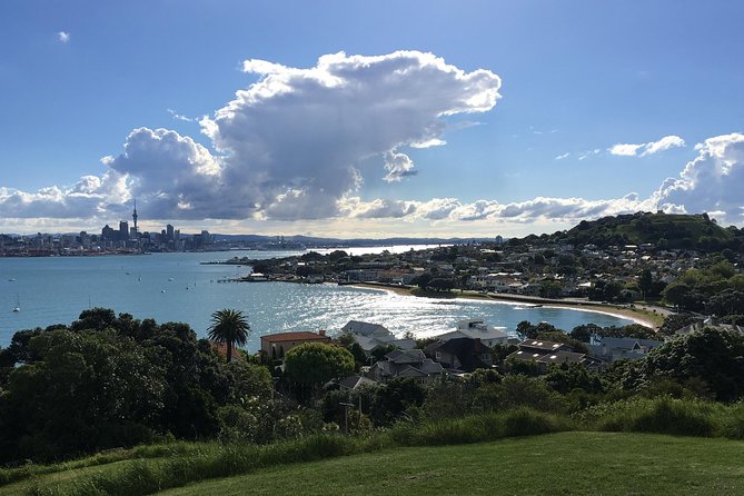 Volcanoes, Coasts, and Secret Spots Afternoon Tour in Auckland - Mike’s guiding style and the small-group feel