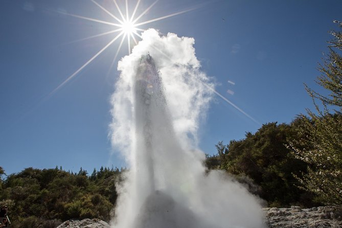 Wai-O-Tapu Thermal Wonderland, Rotorua, New Zealand - Who will enjoy this visit most?
