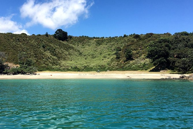 Waiheke Island Bush & Beach Walk - Why Waiheke’s bush and beaches make a good half-day