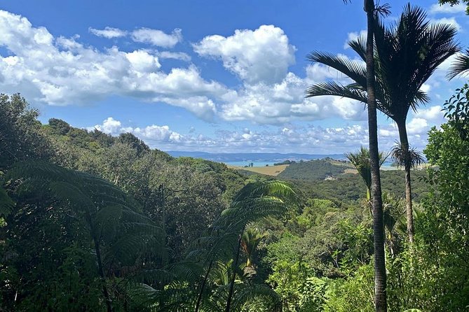 Waiheke Island Bush & Beach Walk - Lunch adds practical value